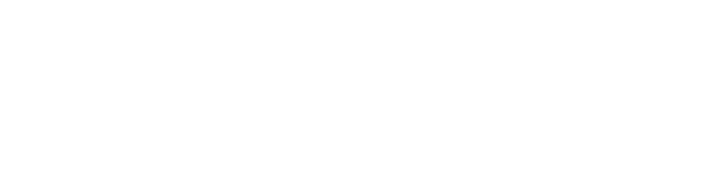 the credit union connection logo white