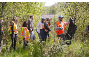 People in orange vests cleaning up forested area