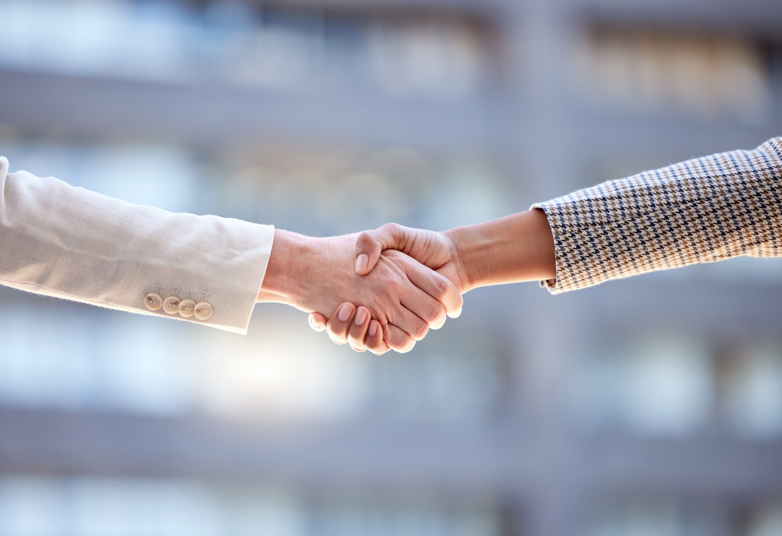 Two businesspeople shaking hands