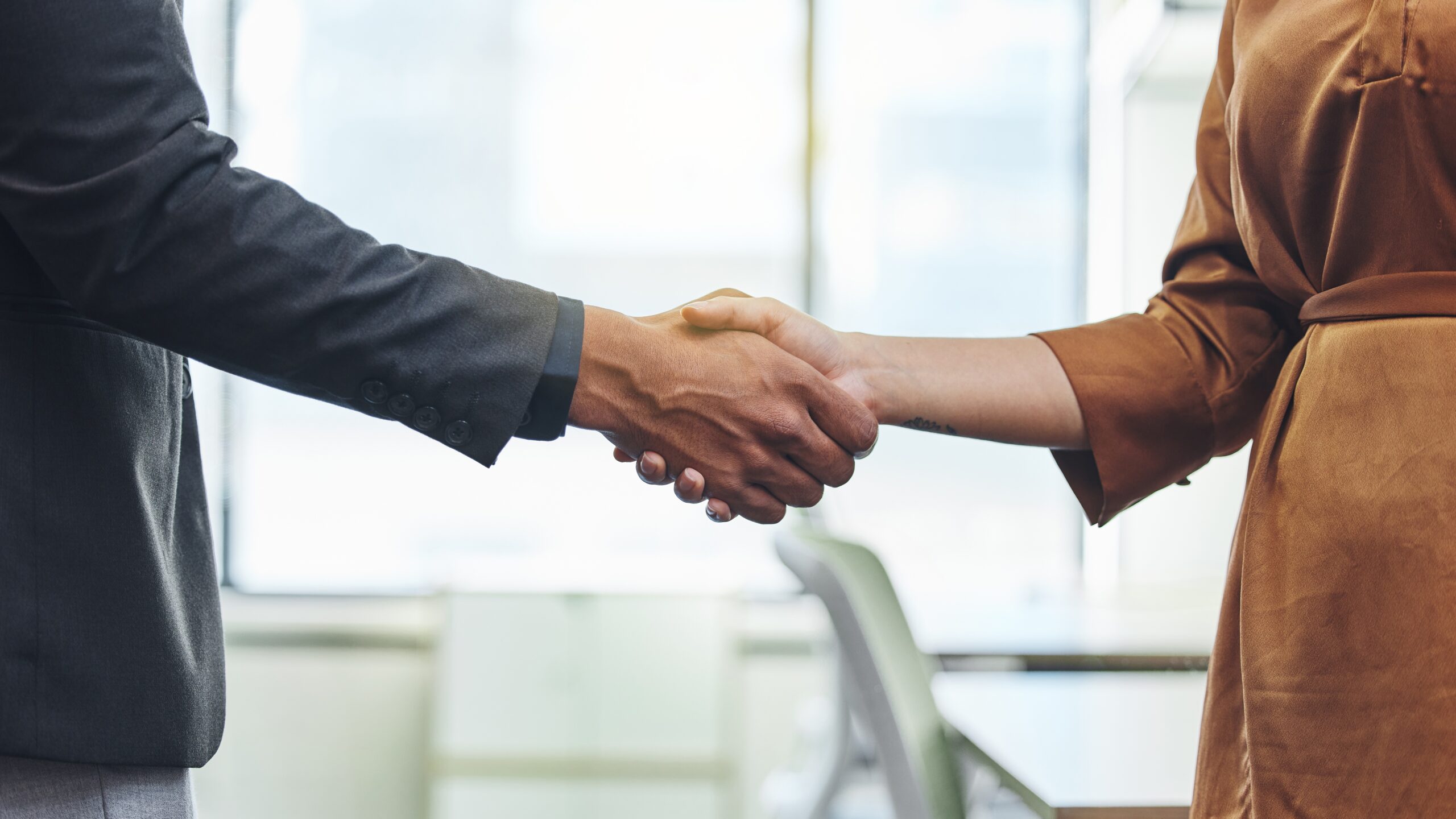 Two businesspeople shaking hands