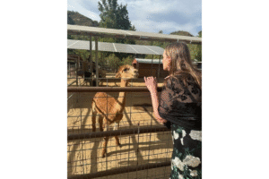 me and any anumal that will sho me attention