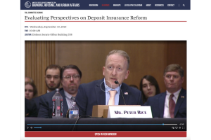 Peter Rice giving testimony screenshot