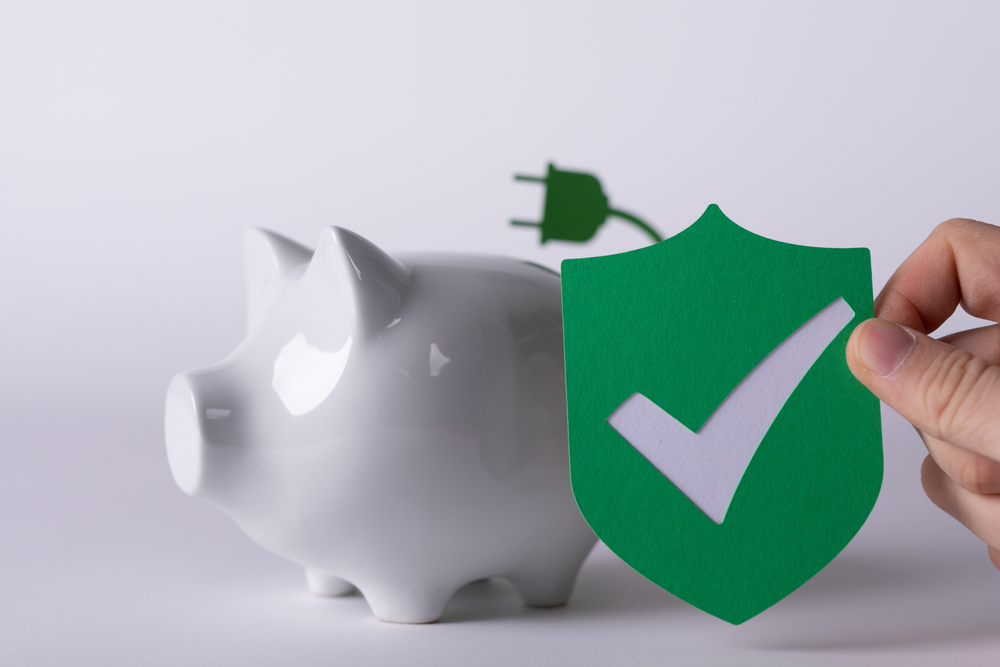 Person holding green paper shield with checkmark on it' shield in front of white piggy bank