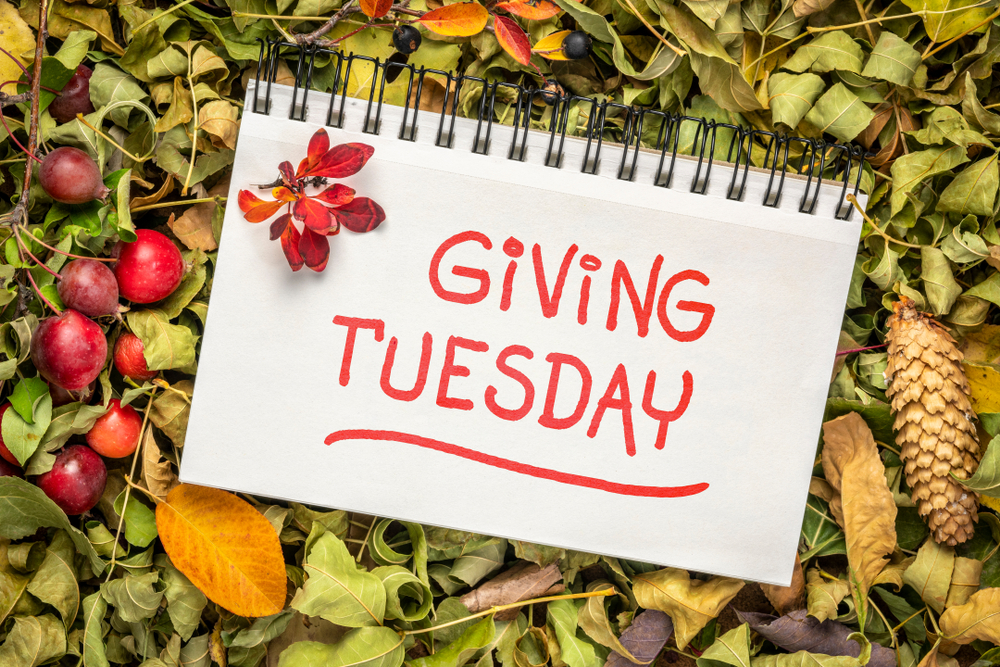"Giving Tuesday" written on notepad; leaves and plants in background