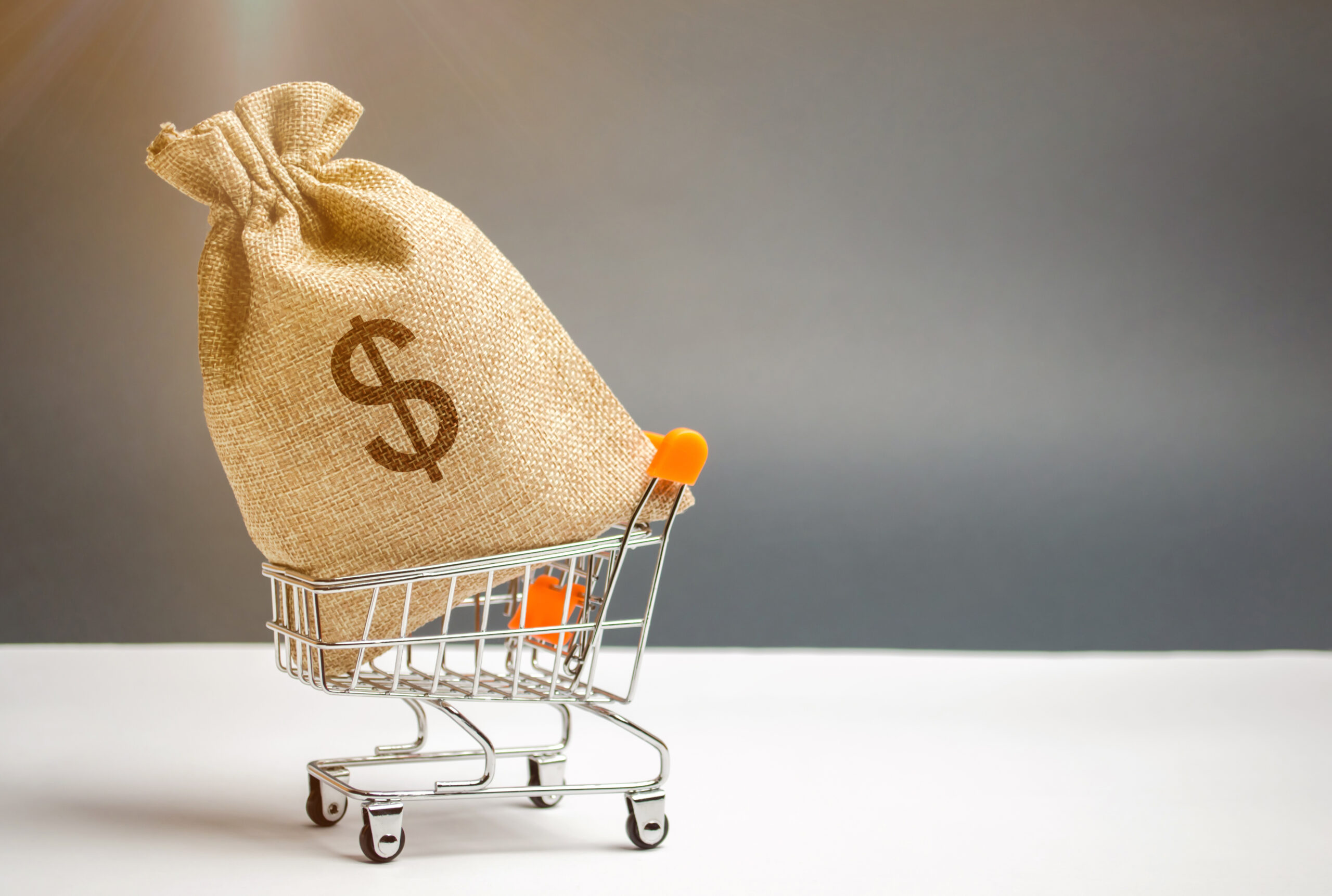 Money bag in supermarket trolley and dollar sign. Money Management. Money market. Sale, discounts and low prices. Gift certificate for purchase. Contribution and investment. Cashback. Credit and loan