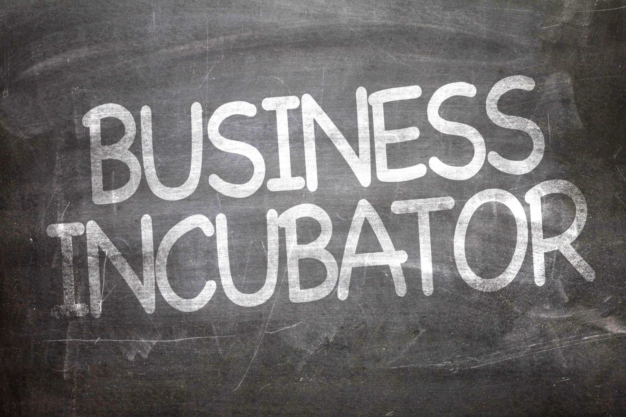 Business Incubator written on a chalkboard
