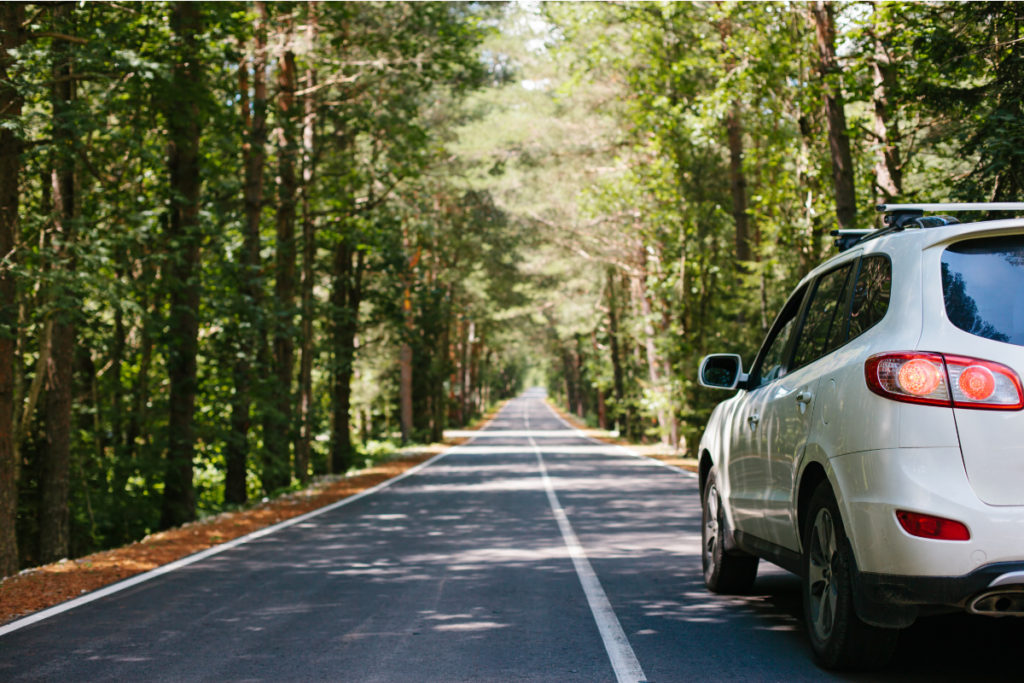 White car driving down road through woods
