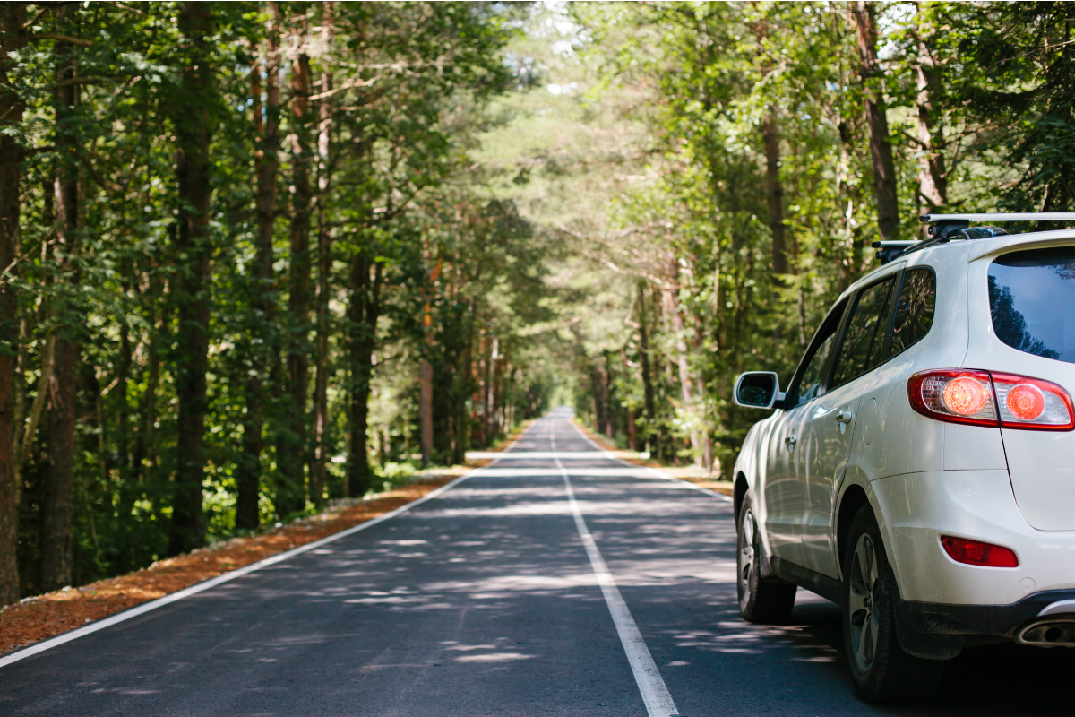 White car driving down road through woods