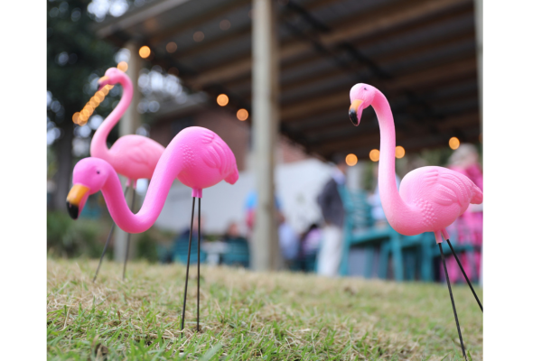 First Commerce Credit Union Flamingo Challenge